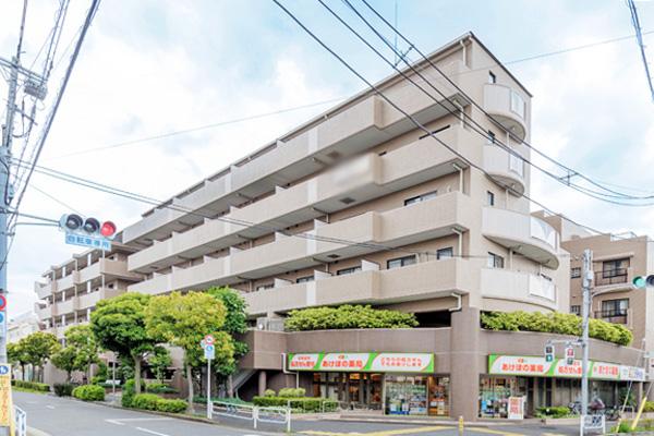 外観図