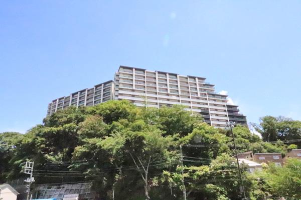 外観図